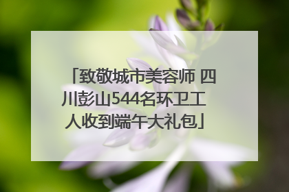 致敬城市美容师 四川彭山544名环卫工人收到端午大礼包