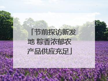 节前探访新发地 粽香浓郁农产品供应充足