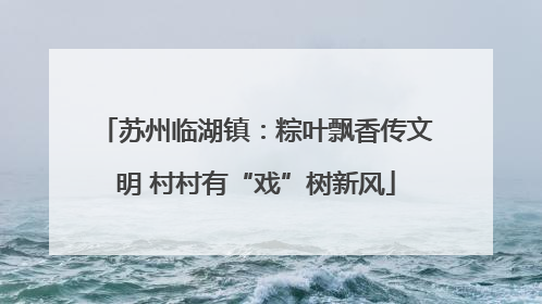苏州临湖镇：粽叶飘香传文明 村村有“戏”树新风