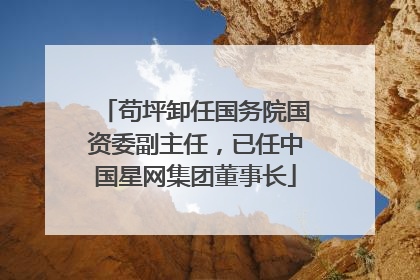 苟坪卸任国务院国资委副主任，已任中国星网集团董事长