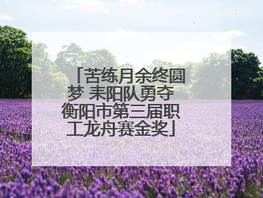 苦练月余终圆梦 耒阳队勇夺衡阳市第三届职工龙舟赛金奖