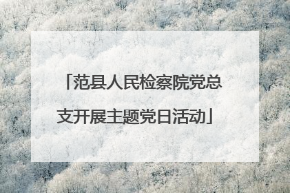 范县人民检察院党总支开展主题党日活动