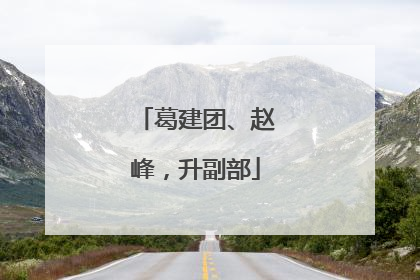 葛建团、赵峰，升副部