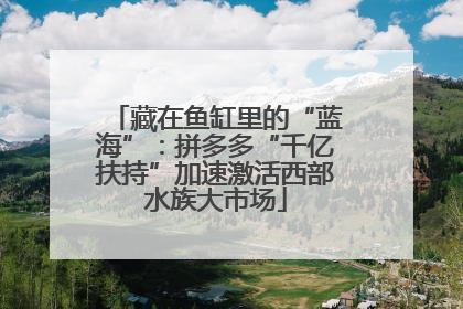 藏在鱼缸里的“蓝海”：拼多多“千亿扶持”加速激活西部水族大市场