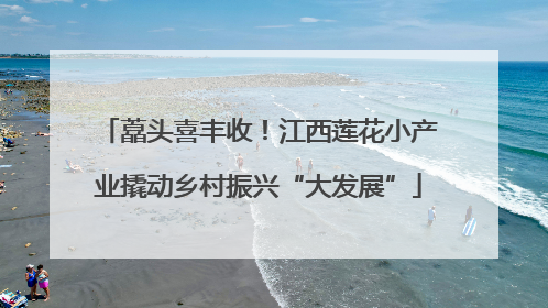 藠头喜丰收！江西莲花小产业撬动乡村振兴“大发展”