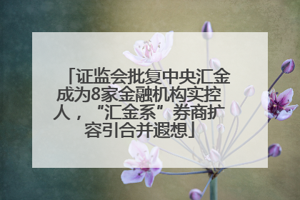 证监会批复中央汇金成为8家金融机构实控人，“汇金系”券商扩容引合并遐想