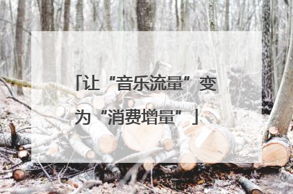 让“音乐流量”变为“消费增量”