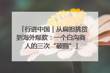 行进中国｜从扁担挑货到海外爆款：一个白沟商人的三次“破圈”