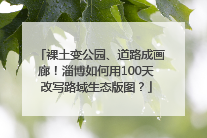 裸土变公园、道路成画廊！淄博如何用100天改写路域生态版图？