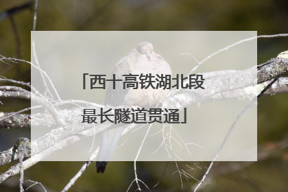 西十高铁湖北段最长隧道贯通