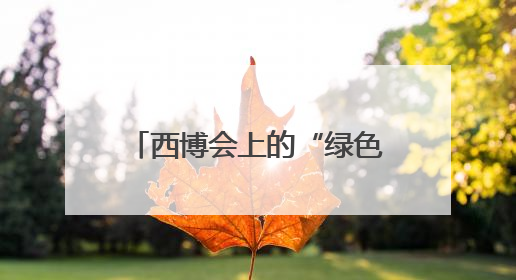 西博会上的“绿色密码”：四川唯一电网拆解中心让废旧物资“重生”｜西博寻“新”记