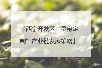 西宁开发区“量身定制”产业链发展策略