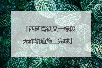 西延高铁又一标段无砟轨道施工完成