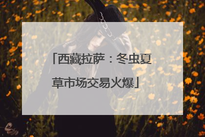 西藏拉萨：冬虫夏草市场交易火爆