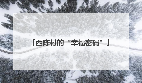 西陈村的“幸福密码”