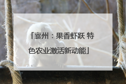 襄州：果香虾跃 特色农业激活新动能