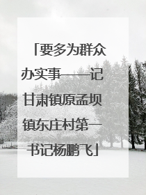 要多为群众办实事——记甘肃镇原孟坝镇东庄村第一书记杨鹏飞