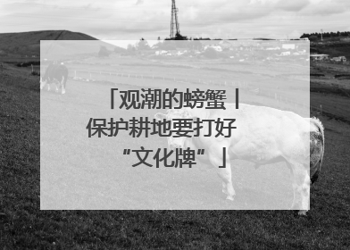 观潮的螃蟹丨保护耕地要打好“文化牌”