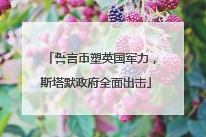 誓言重塑英国军力，斯塔默政府全面出击