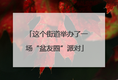 这个街道举办了一场“盆友圈”派对