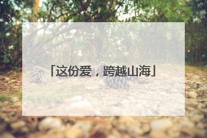 这份爱，跨越山海