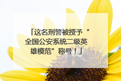 这名刑警被授予“全国公安系统二级英雄模范”称号！