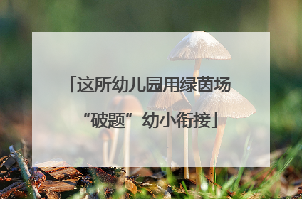 这所幼儿园用绿茵场“破题”幼小衔接