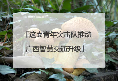 这支青年突击队推动广西智慧交通升级