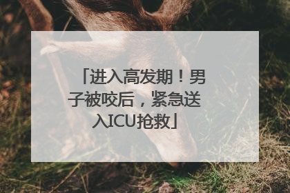 进入高发期！男子被咬后，紧急送入ICU抢救