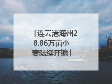 连云港海州28.86万亩小麦陆续开镰