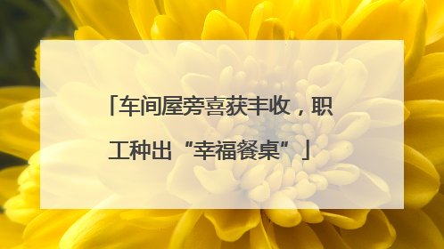车间屋旁喜获丰收，职工种出“幸福餐桌”