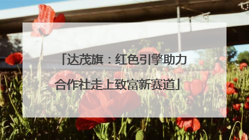 达茂旗：红色引擎助力合作社走上致富新赛道