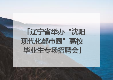 辽宁省举办“沈阳现代化都市圈”高校毕业生专场招聘会