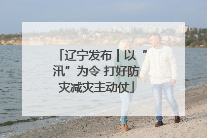 辽宁发布｜以“汛”为令 打好防灾减灾主动仗