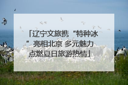 辽宁文旅携“特种冰”亮相北京 多元魅力点燃夏日旅游热情