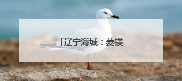 辽宁海城：菱镁之都的绿色蝶变