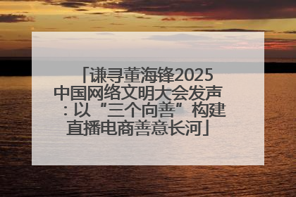 谦寻董海锋2025中国网络文明大会发声：以“三个向善”构建直播电商善意长河