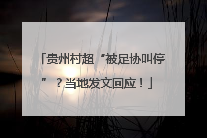 贵州村超“被足协叫停”？当地发文回应！