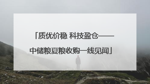 质优价稳 科技盈仓——中储粮夏粮收购一线见闻