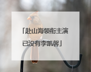 赴山海领衔主演已没有李凯馨