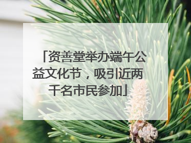 资善堂举办端午公益文化节，吸引近两千名市民参加