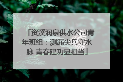 资溪润泉供水公司青年班组：测漏尖兵守水脉 青春建功显担当