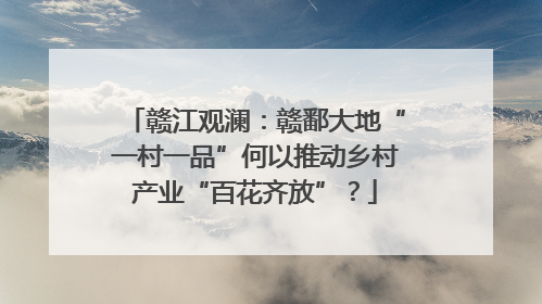 赣江观澜：赣鄱大地“一村一品”何以推动乡村产业“百花齐放”？