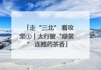 走“三北” 看攻坚①｜太行披“绿装” 连翘药茶香