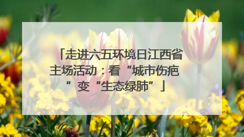 走进六五环境日江西省主场活动：看“城市伤疤”变“生态绿肺”