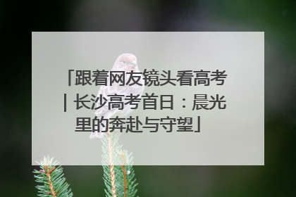 跟着网友镜头看高考｜长沙高考首日：晨光里的奔赴与守望