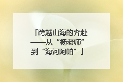 跨越山海的奔赴——从“杨老师”到“海河阿帕”