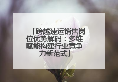 跨越速运销售岗位优势解码：多维赋能构建行业竞争力新范式