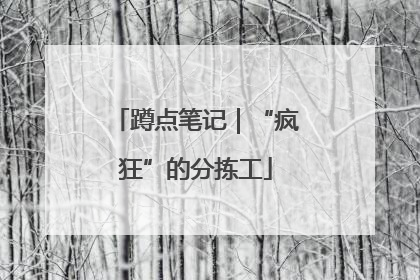蹲点笔记｜“疯狂”的分拣工