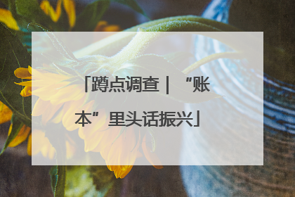 蹲点调查｜“账本”里头话振兴